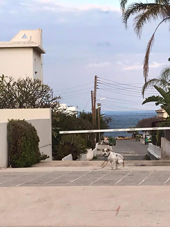 Sunny Holiday By Konnos Paralimni Exterior photo